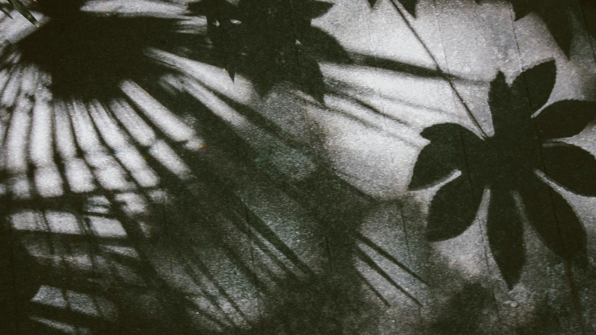 Abstract background with cyan light trails on a dark void-rose canvas.